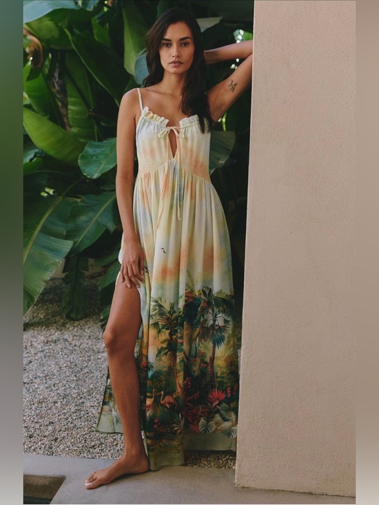 Anthropologie Dresses & Skirts - Anthropologie x Celandine Sleeveless Scenic Maxi Dress NWT